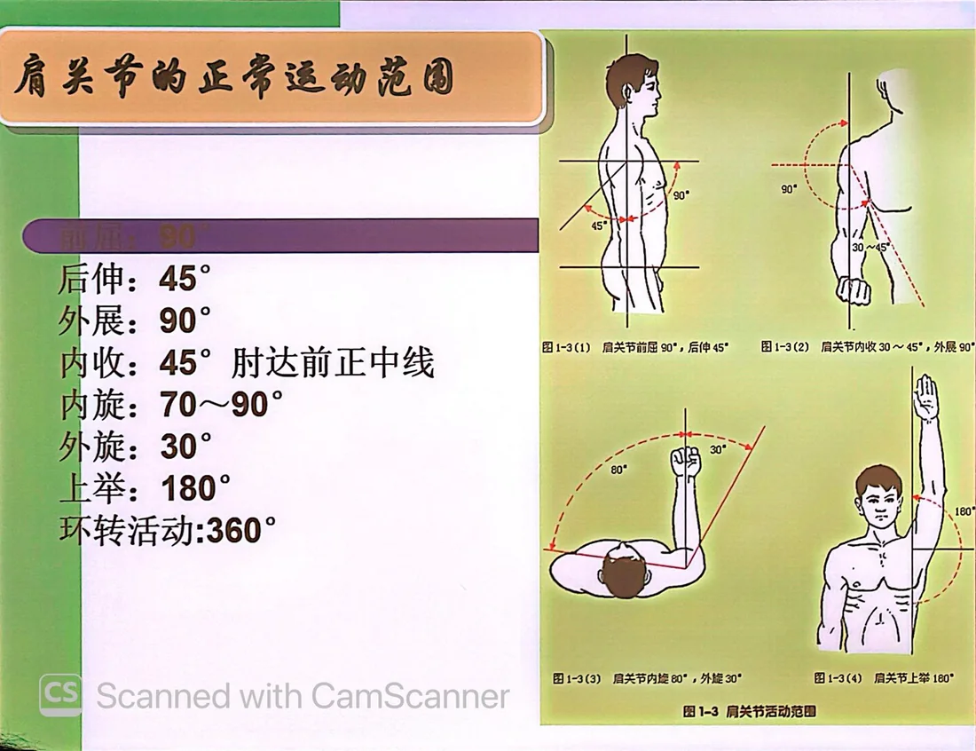 肩關節各方向正常活動角度圖示