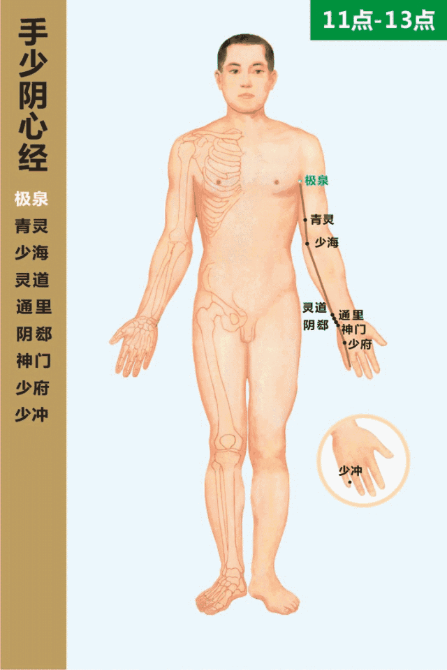 手少陰心經循行動畫