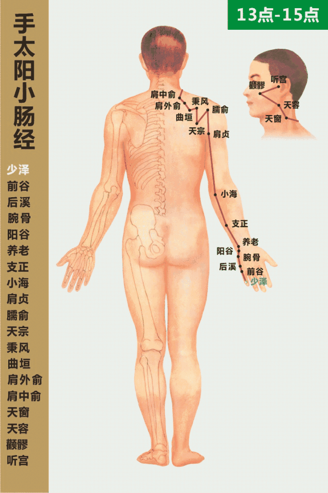 手太陽小腸經循行動畫