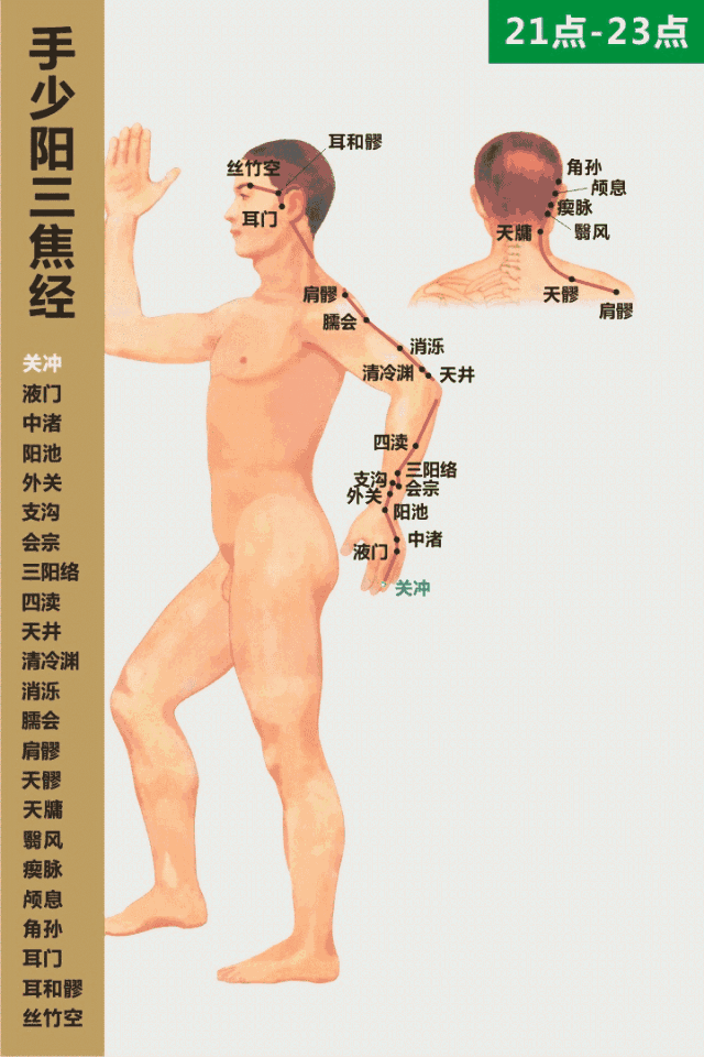 手少陽三焦經循行動畫