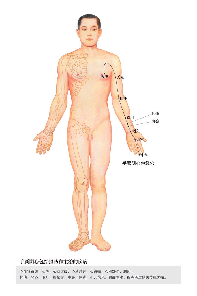 手厥陰心包經 經脈循行與穴位示意圖