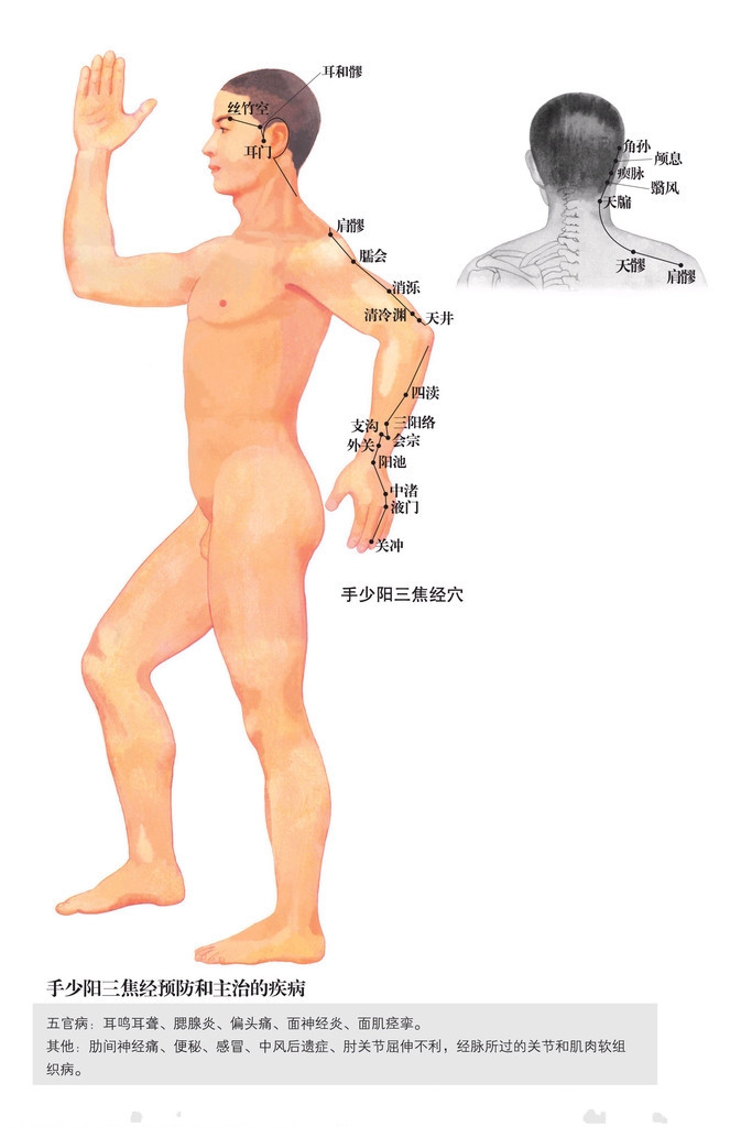 手少陽三焦經 經脈循行與穴位示意圖