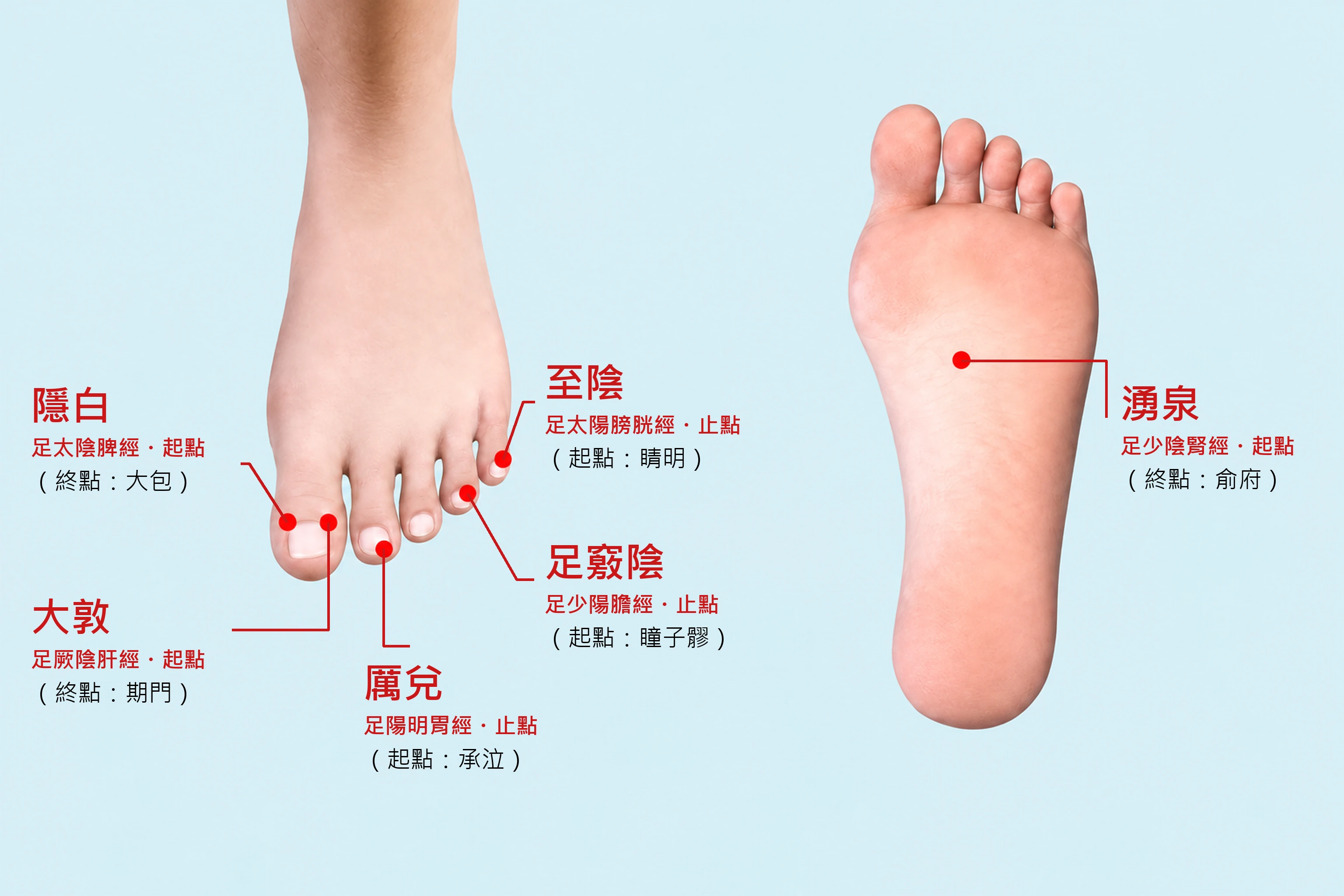 足末端交接穴（陰陽表裏六對經）