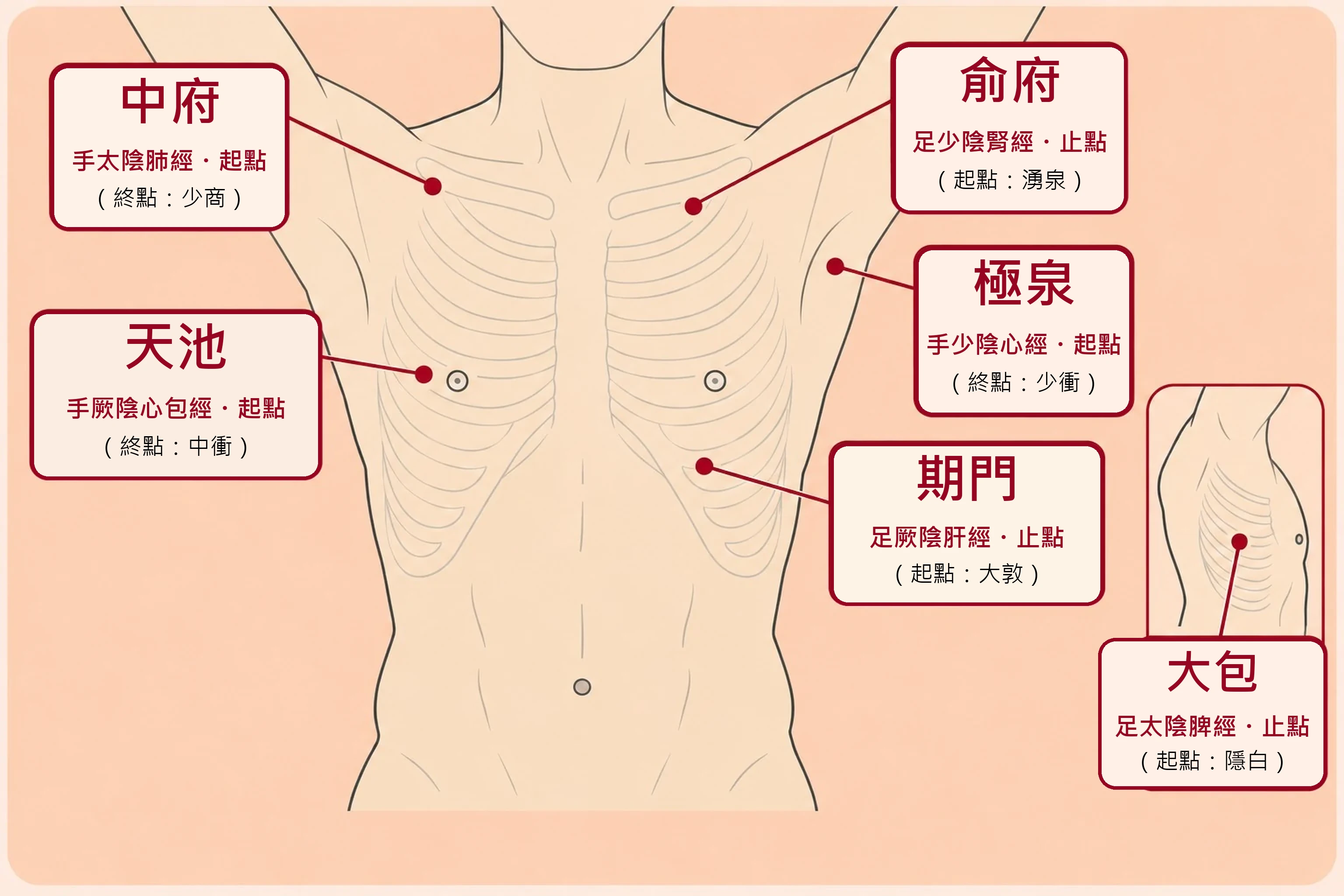胸部相互銜接的陰經
